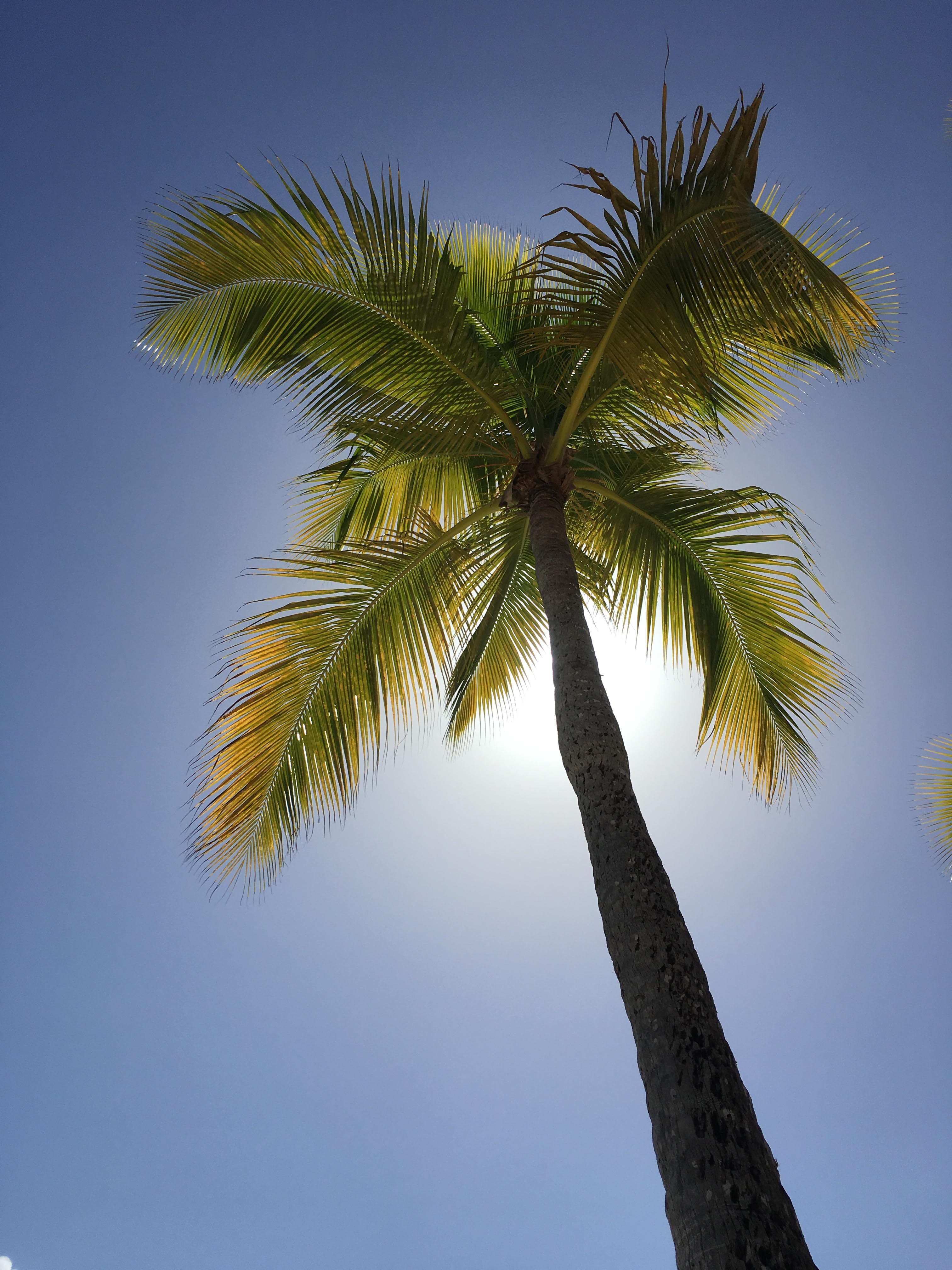 La Guadeloupe, entre terre, mer et passion